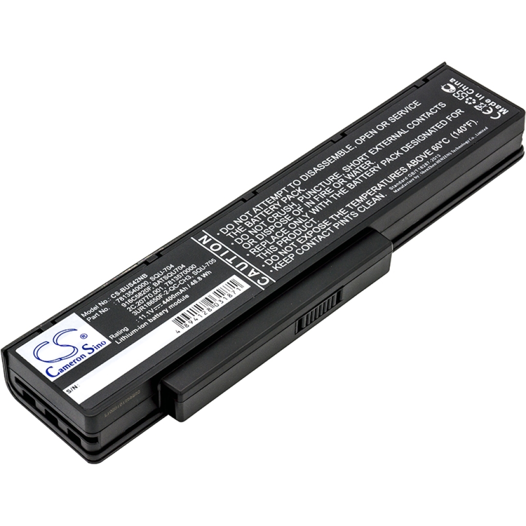 Battery Replaces 2C.20770.001