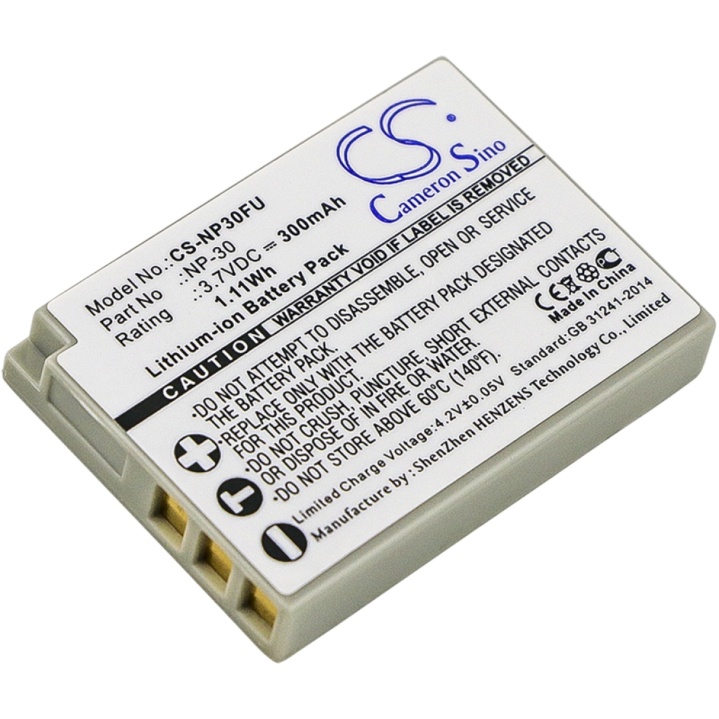 Camera Battery Gateway CS-NP30FU