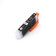 Kompatibel mit Epson C13T24314012 / 13ml Tinte Schwarz (Tintenpatronen)